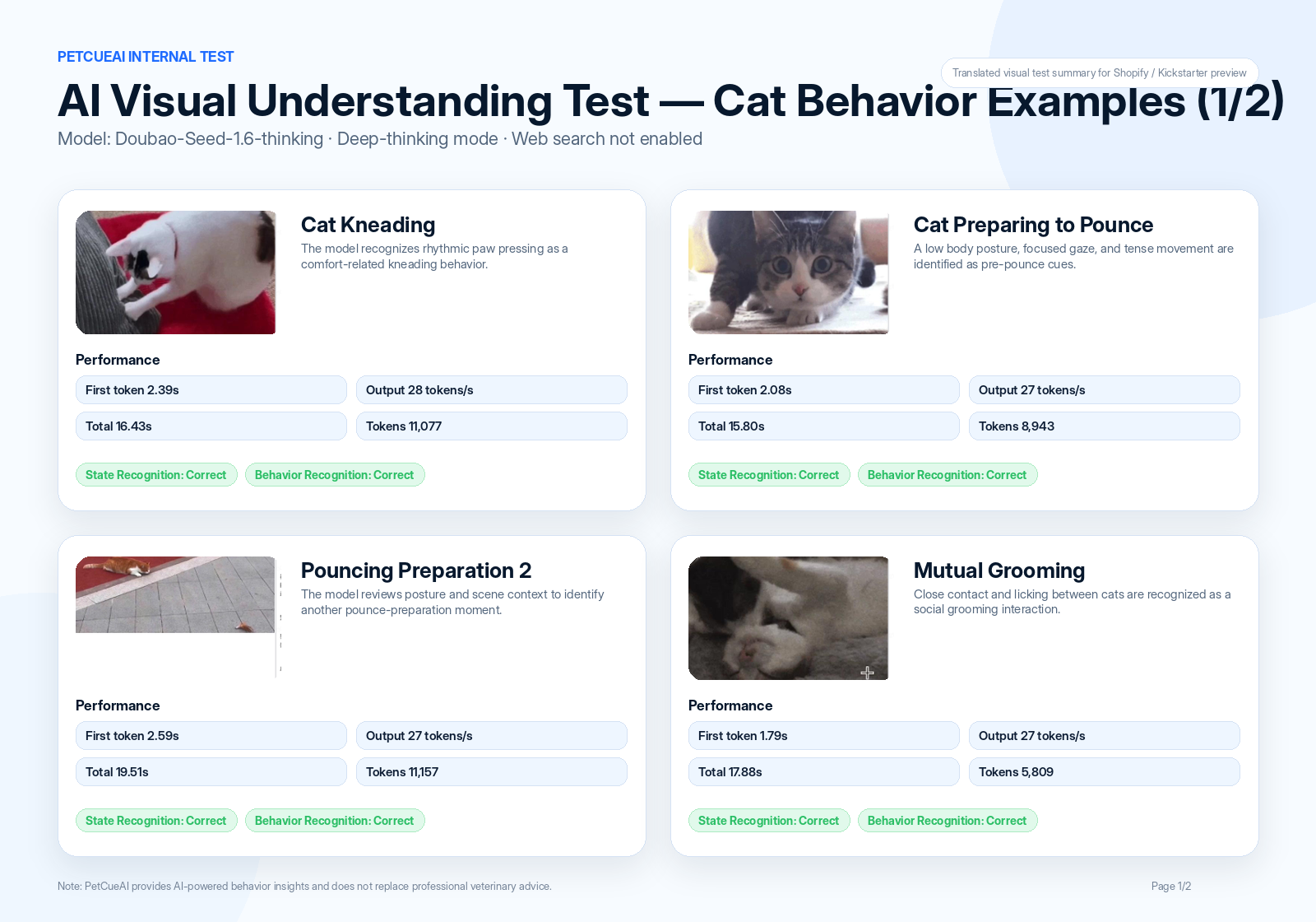 Internal AI visual understanding test report